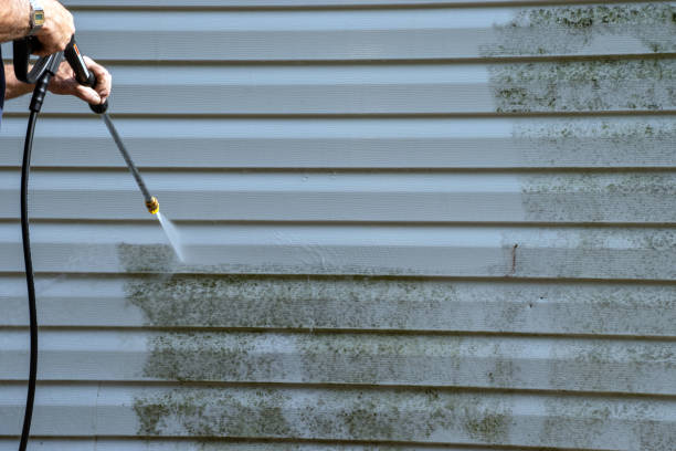 Best Steel Siding Installation  in Buena Vista, VA